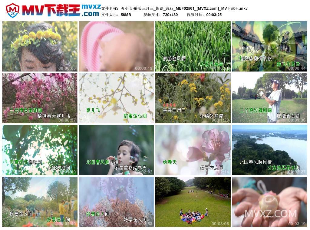 苏小艾-醉美三月三_国语_流行_MEF02561